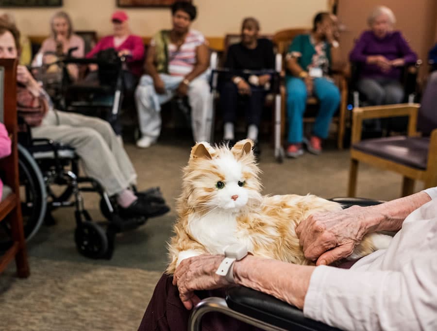 Dementia cat shop toy uk